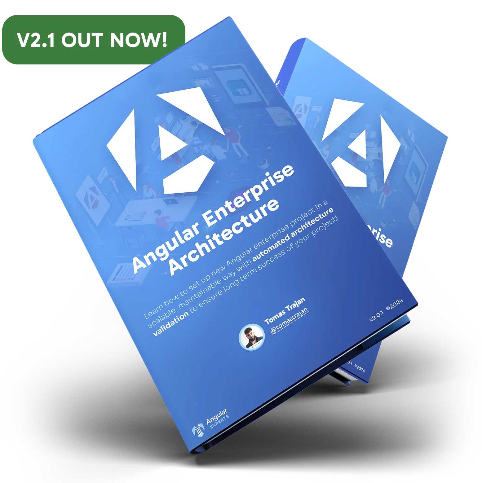 Angular Enterprise Architecture eBook